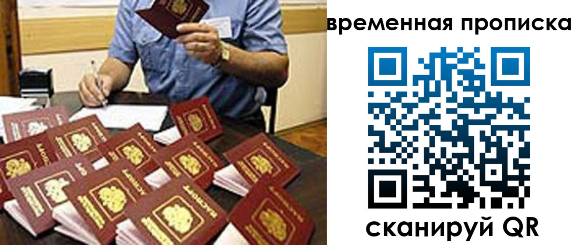 прописка для школы в Омской области